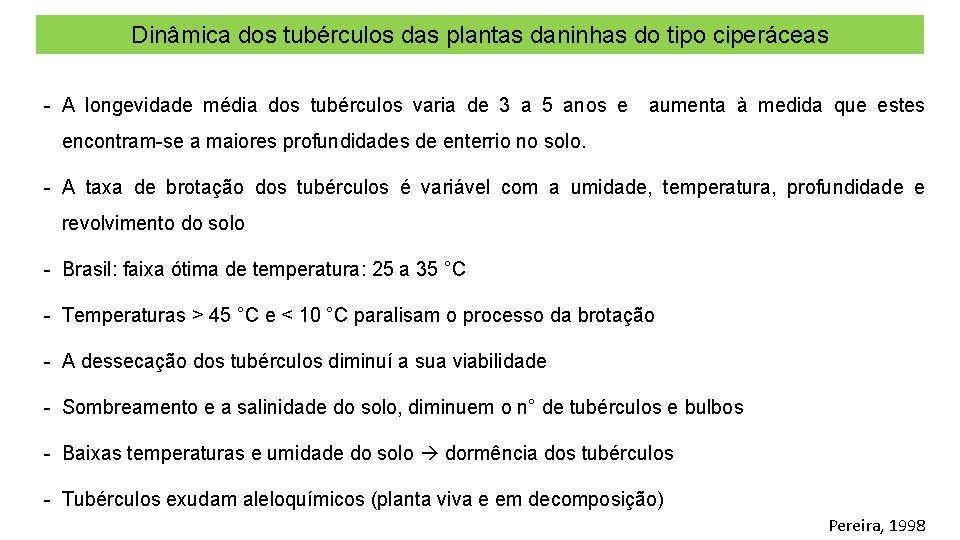 Dinâmica dos tubérculos das plantas daninhas do tipo ciperáceas - A longevidade média dos