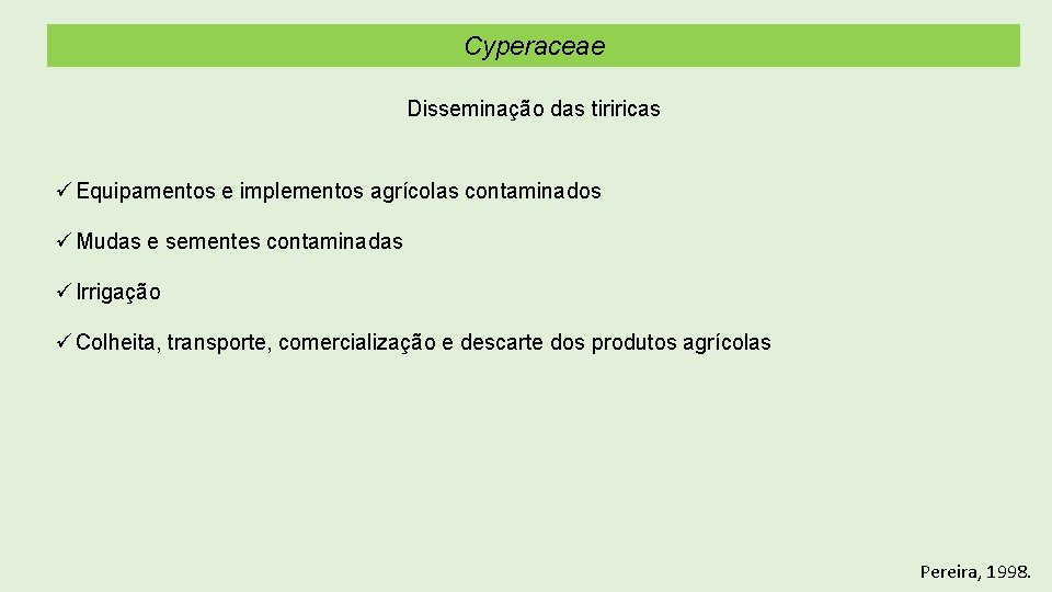 Cyperaceae Disseminação das tiriricas ü Equipamentos e implementos agrícolas contaminados ü Mudas e sementes