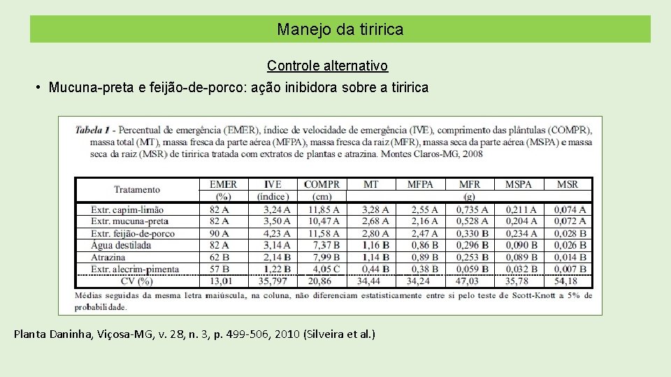 Manejo da tiririca Controle alternativo • Mucuna-preta e feijão-de-porco: ação inibidora sobre a tiririca