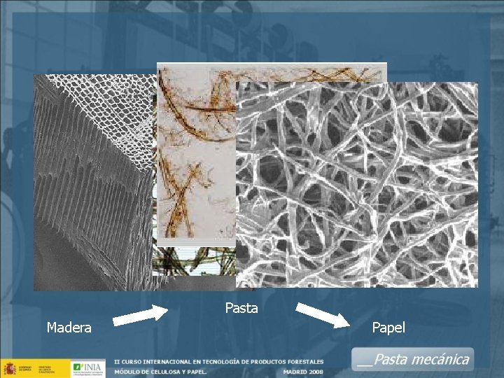 Pasta Madera Papel 