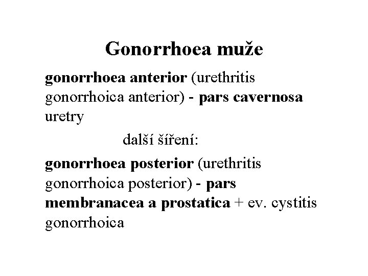 Gonorrhoea muže gonorrhoea anterior (urethritis gonorrhoica anterior) - pars cavernosa uretry další šíření: gonorrhoea
