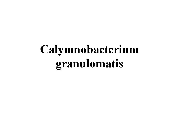 Calymnobacterium granulomatis 