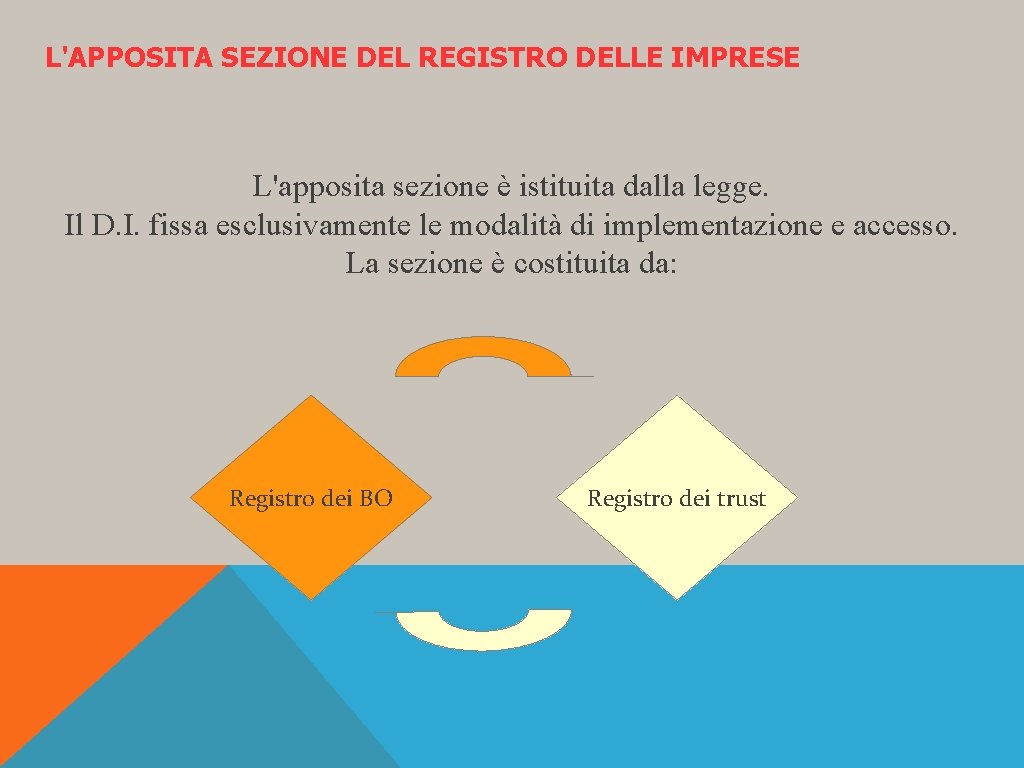  DELLE IMPRESE L'APPOSITA SEZIONE DEL REGISTRO L'apposita sezione è istituita dalla legge. Il