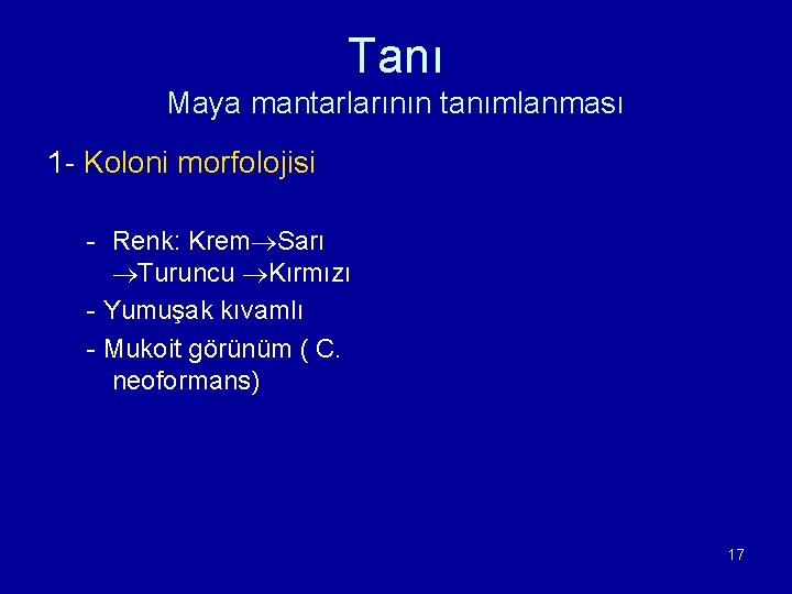 Tanı Maya mantarlarının tanımlanması 1 - Koloni morfolojisi - Renk: Krem Sarı Turuncu Kırmızı