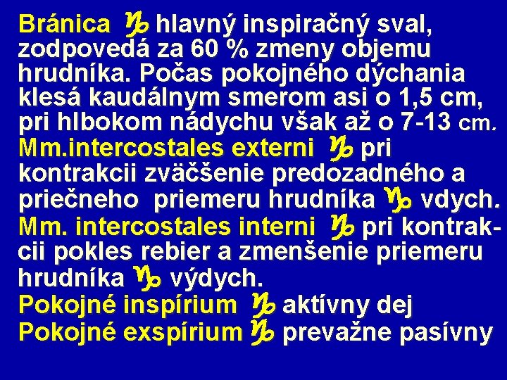 Bránica hlavný inspiračný sval, zodpovedá za 60 % zmeny objemu hrudníka. Počas pokojného dýchania