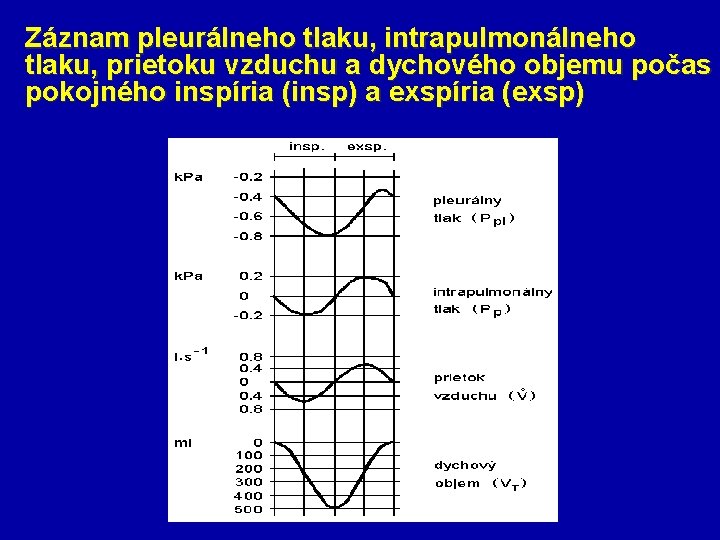 Záznam pleurálneho tlaku, intrapulmonálneho tlaku, prietoku vzduchu a dychového objemu počas pokojného inspíria (insp)