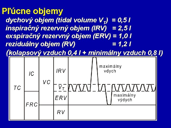 Pľúcne objemy dychový objem (tidal volume VT) = 0, 5 l inspiračný rezervný objem