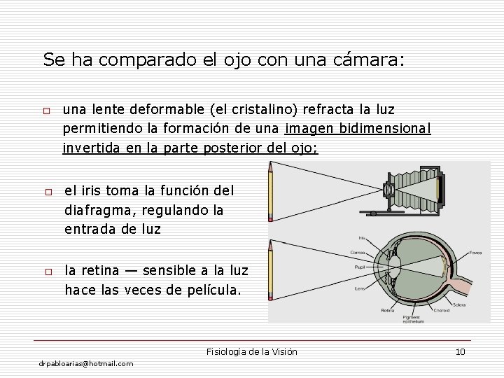 Se ha comparado el ojo con una cámara: o o o una lente deformable