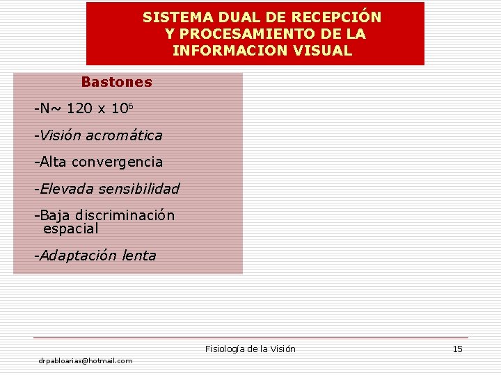 SISTEMA DUAL DE RECEPCIÓN Y PROCESAMIENTO DE LA INFORMACION VISUAL Bastones -N~ 120 x