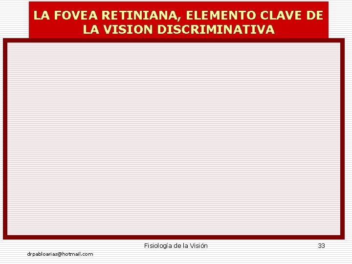 LA FOVEA RETINIANA, ELEMENTO CLAVE DE LA VISION DISCRIMINATIVA Fisiología de la Visión drpabloarias@hotmail.