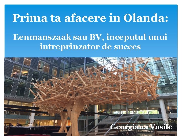 Prima ta afacere in Olanda: Eenmanszaak sau BV, inceputul unui intreprinzator de succes Georgiana