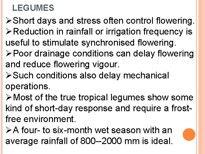 LEGUMES ØShort days and stress often control flowering. ØReduction in rainfall or irrigation frequency