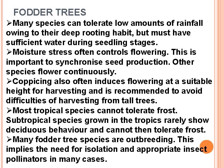 FODDER TREES ØMany species can tolerate low amounts of rainfall owing to their deep