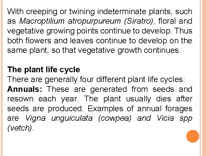 With creeping or twining indeterminate plants, such as Macroptilium atropurpureum (Siratro), floral and vegetative