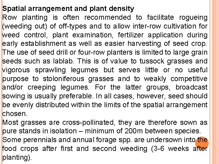 Spatial arrangement and plant density Row planting is often recommended to facilitate rogueing (weeding