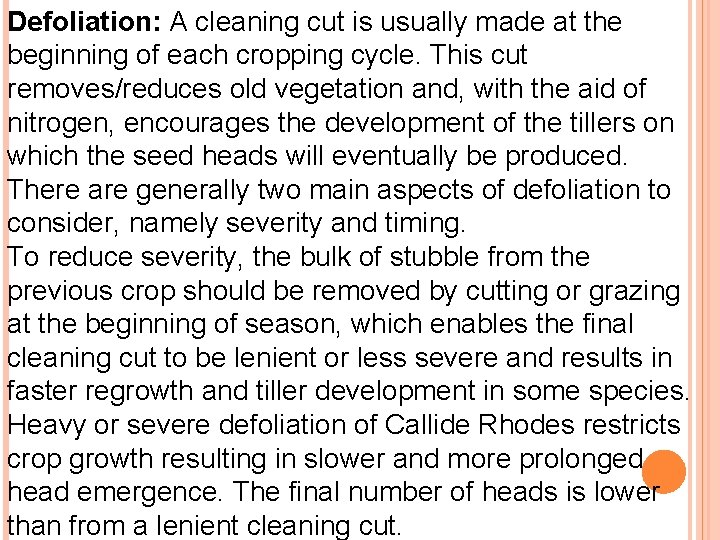Defoliation: A cleaning cut is usually made at the beginning of each cropping cycle.