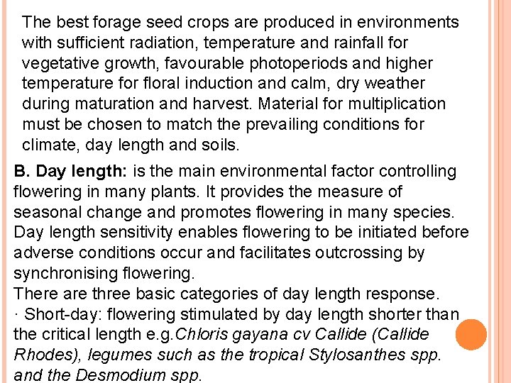 The best forage seed crops are produced in environments with sufficient radiation, temperature and