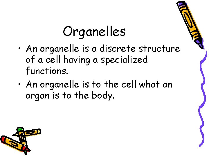 Organelles • An organelle is a discrete structure of a cell having a specialized