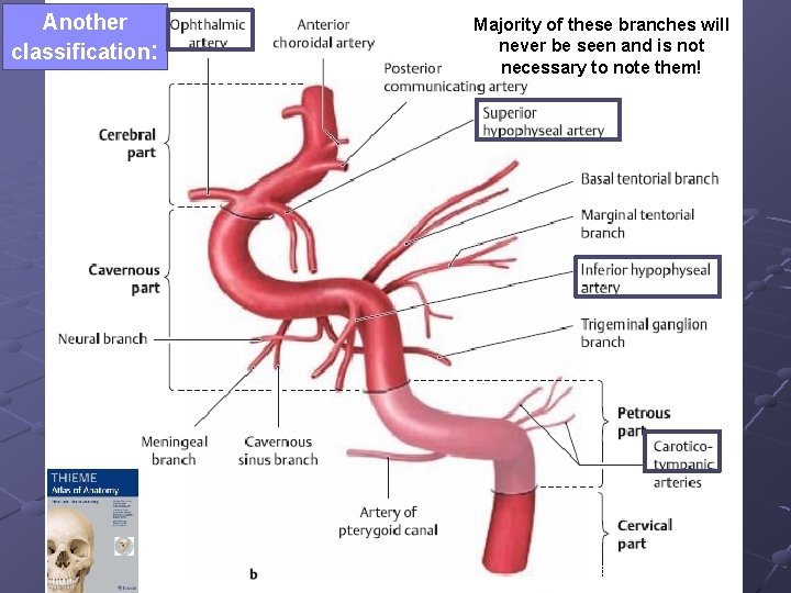 Another classification: Majority of these branches will never be seen and is not necessary