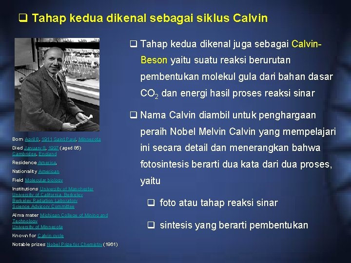 q Tahap kedua dikenal sebagai siklus Calvin q Tahap kedua dikenal juga sebagai Calvin.