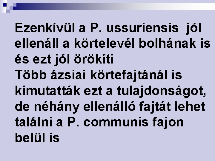 Ezenkívül a P. ussuriensis jól ellenáll a körtelevél bolhának is és ezt jól örökíti