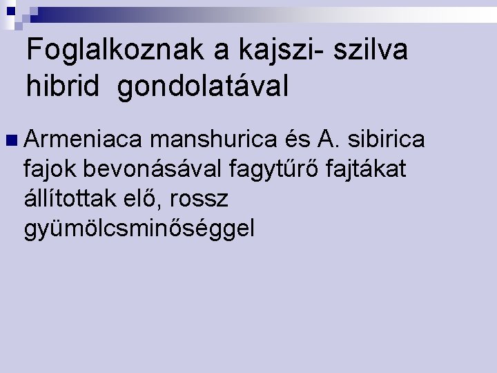 Foglalkoznak a kajszi- szilva hibrid gondolatával n Armeniaca manshurica és A. sibirica fajok bevonásával