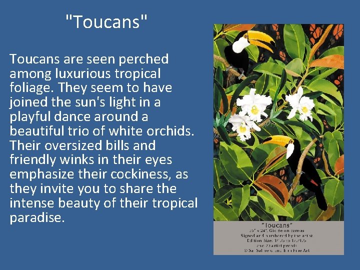 "Toucans" Toucans are seen perched among luxurious tropical foliage. They seem to have joined