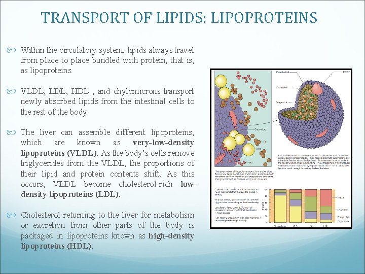 TRANSPORT OF LIPIDS: LIPOPROTEINS Within the circulatory system, lipids always travel from place to