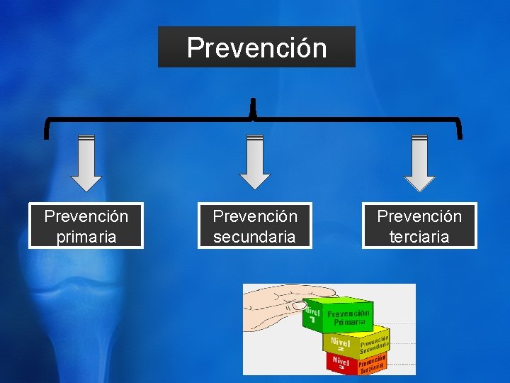 Prevención primaria Prevención secundaria Prevención terciaria 