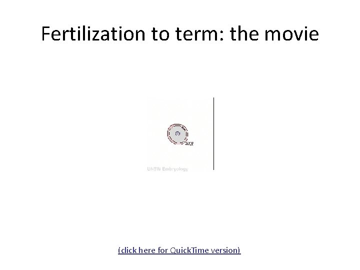 Fertilization to term: the movie (click here for Quick. Time version) 
