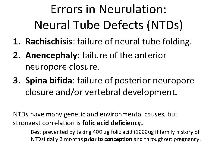 Errors in Neurulation: Neural Tube Defects (NTDs) 1. Rachisis: failure of neural tube folding.