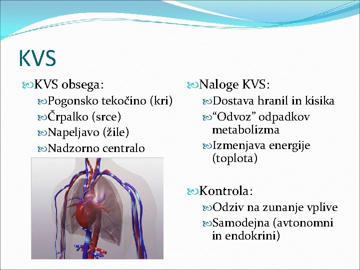 KVS obsega: Pogonsko tekočino (kri) Črpalko (srce) Napeljavo (žile) Nadzorno centralo Naloge KVS: Dostava