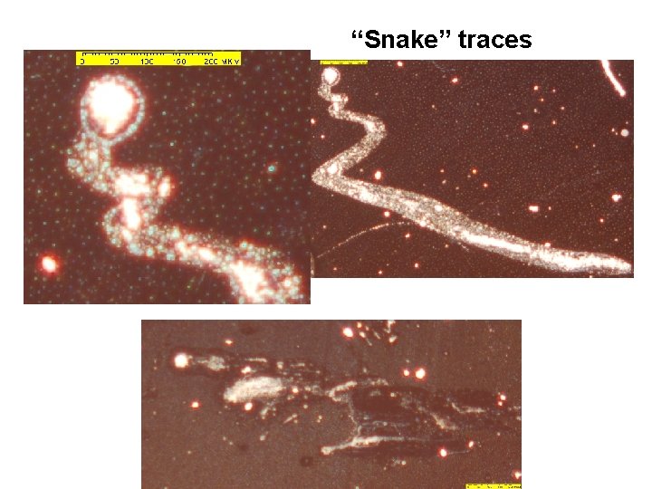 “Snake” traces 