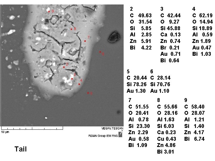 2 C O Si Al Zn Bi 49. 63 31. 54 5. 85 2.