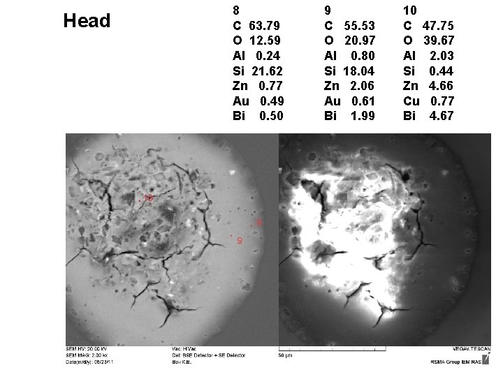 Head 8 C 63. 79 O 12. 59 Al 0. 24 Si 21. 62