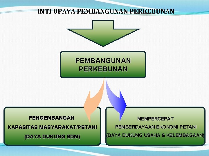 INTI UPAYA PEMBANGUNAN PERKEBUNAN PENGEMBANGAN MEMPERCEPAT KAPASITAS MASYARAKAT/PETANI PEMBERDAYAAN EKONOMI PETANI (DAYA DUKUNG SDM)