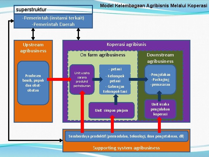 Model Kelembagaan Agribisnis Melalui Koperasi superstruktur -Pemerintah (instansi terkait) -Pemerintah Daerah Upstream agribusiness Produsen