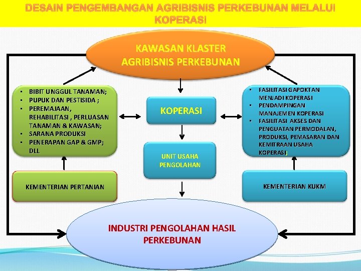 DESAIN PENGEMBANGAN AGRIBISNIS PERKEBUNAN MELALUI KOPERASI KAWASAN KLASTER AGRIBISNIS PERKEBUNAN • BIBIT UNGGUL TANAMAN;