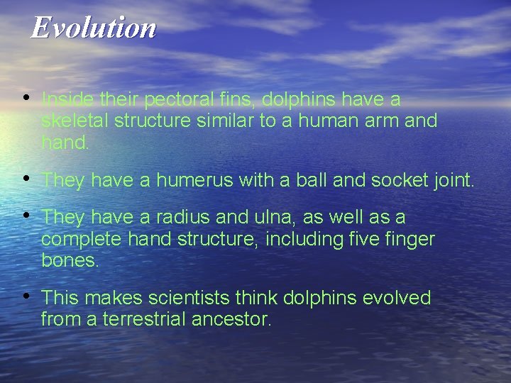 Evolution • Inside their pectoral fins, dolphins have a skeletal structure similar to a