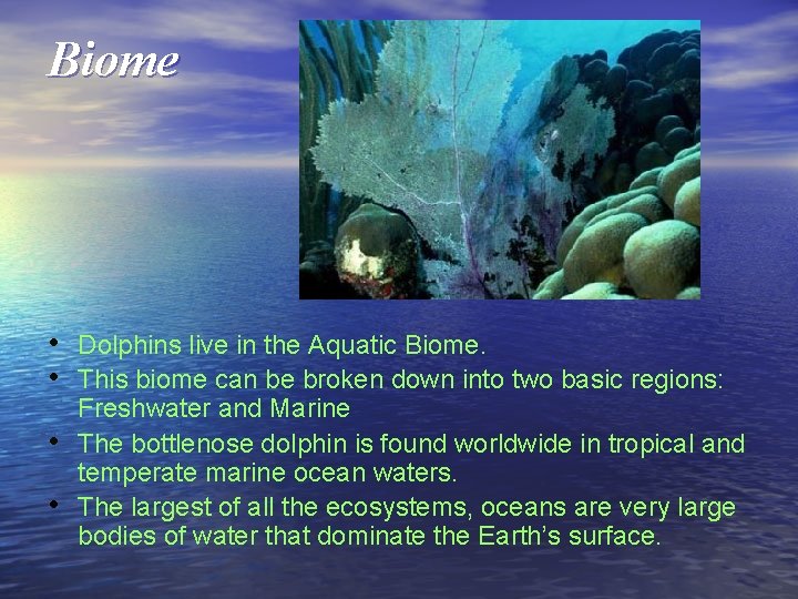 Biome • Dolphins live in the Aquatic Biome. • This biome can be broken