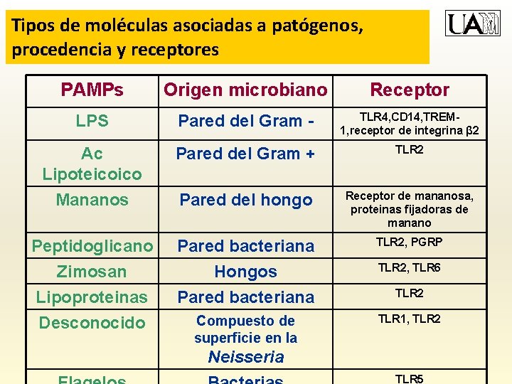 Tipos de moléculas asociadas a patógenos, procedencia y receptores PAMPs Origen microbiano Receptor LPS
