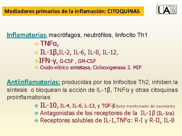 Mediadores primarios de la inflamación: CITOQUINAS Inflamatorias: macrófagos, neutrófilos, linfocito Th 1 v TNFα,