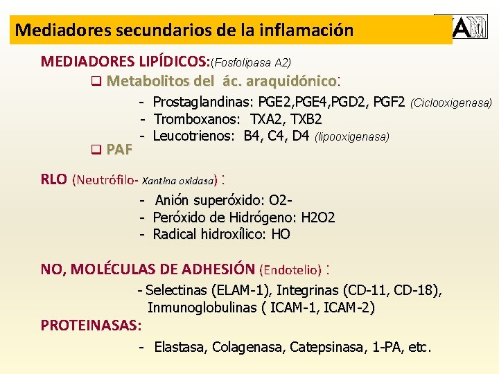 Mediadores secundarios de la inflamación MEDIADORES LIPÍDICOS: (Fosfolipasa A 2) q Metabolitos del ác.