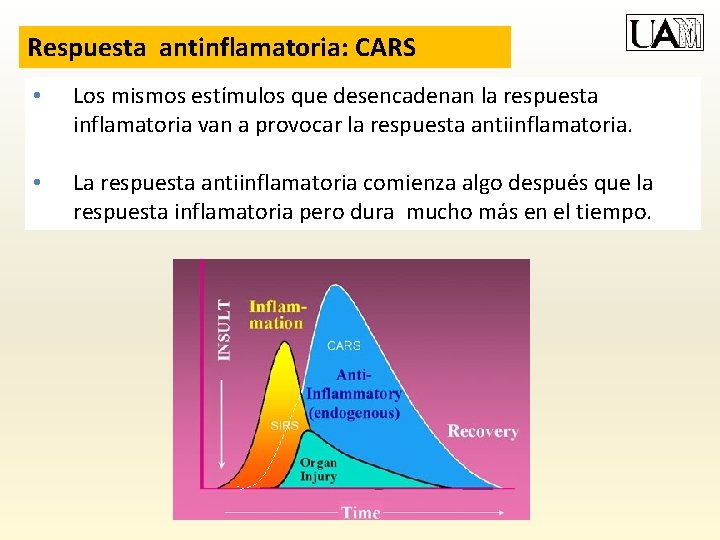 Respuesta antinflamatoria: CARS • Los mismos estímulos que desencadenan la respuesta inflamatoria van a