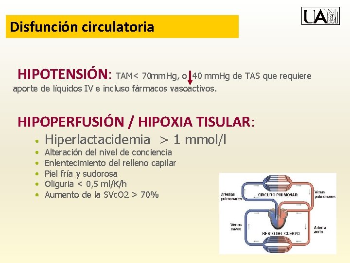 Disfunción circulatoria HIPOTENSIÓN: TAM< 70 mm. Hg, o 40 mm. Hg de TAS que