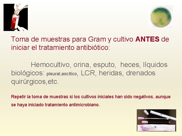 Toma de muestras para Gram y cultivo ANTES de iniciar el tratamiento antibiótico: Hemocultivo,
