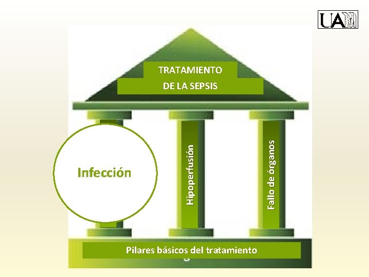 TRATAMIENTO Pilares básicos del tratamiento Fallo de órganos Infección Hipoperfusión Infección DE LA SEPSIS