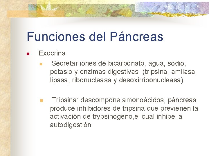 Funciones del Páncreas n Exocrina n Secretar iones de bicarbonato, agua, sodio, potasio y