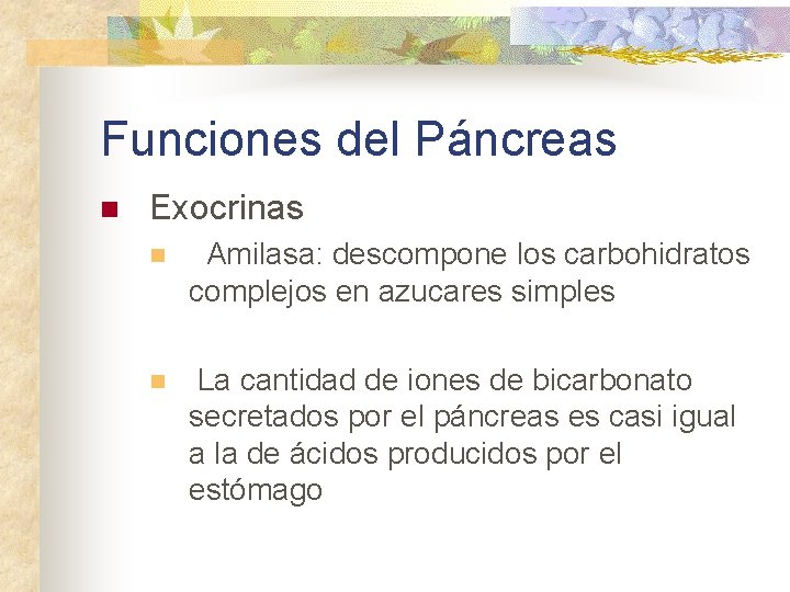 Funciones del Páncreas n Exocrinas n Amilasa: descompone los carbohidratos complejos en azucares simples