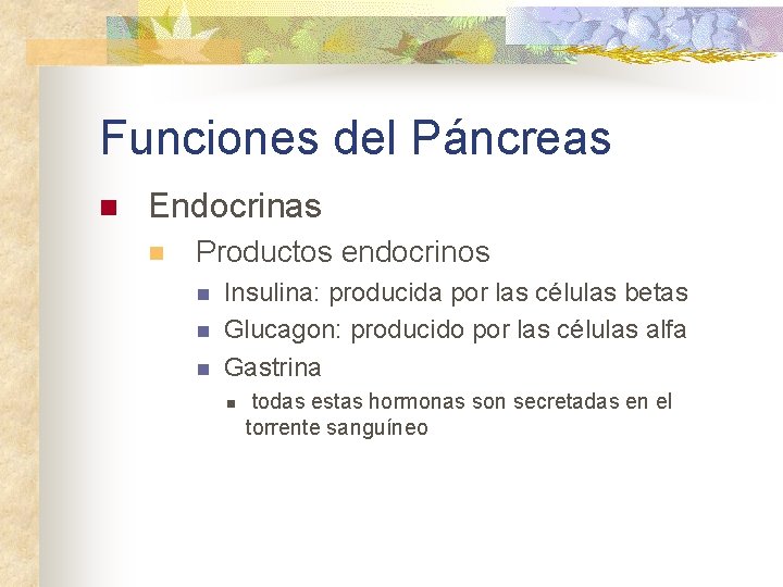 Funciones del Páncreas n Endocrinas n Productos endocrinos n n n Insulina: producida por